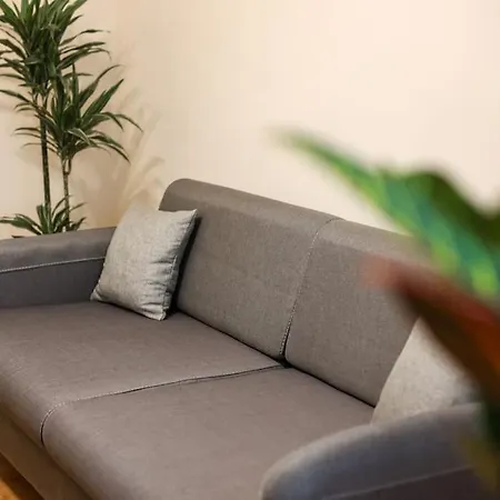Lively Center Of Apartment